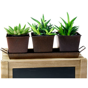 Metal  Powder Coated Brown Herb Container